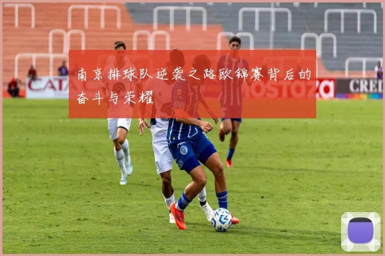 南京排球队逆袭之路欧锦赛背后的奋斗与荣耀
