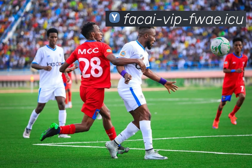 App Interface Preview