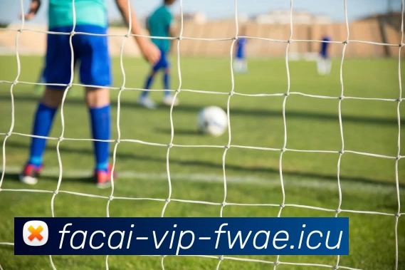 开云体育APP 封面图